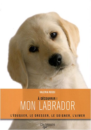 Mon labrador