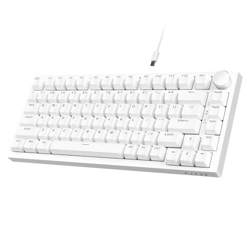 ATTACK SHARK Ajazz AK820 Mechanical Keyboard with with CNC Knob Control,75% Gasket Mount Keyboard and Detachable USB Wired Gaming Keyboard for Wind/Mac,Blue Light,NKRO,Blue Clicky Switch(White)