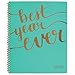 AT-A-GLANCE 2018-2019 Academic Year Weekly & Monthly Planner, Large, 8-1/2 x 11, Aspire, Mint (1022-905A-42)