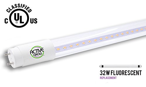 Active Grow T8/T12 High Output 4FT LED Grow Light Tube for Germination, Microgreens & Tissue Culture – 22 Watts – Sun White Full Spectrum (High CRI 95) – Single Ended Direct Wire 120-277V – UL Listed