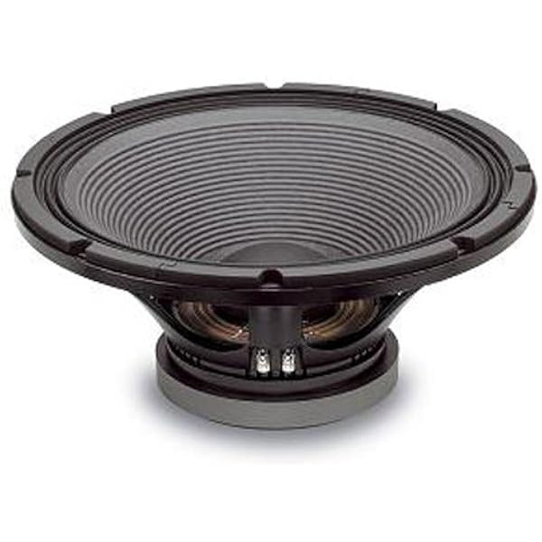 1000 watt speaker 18 inch