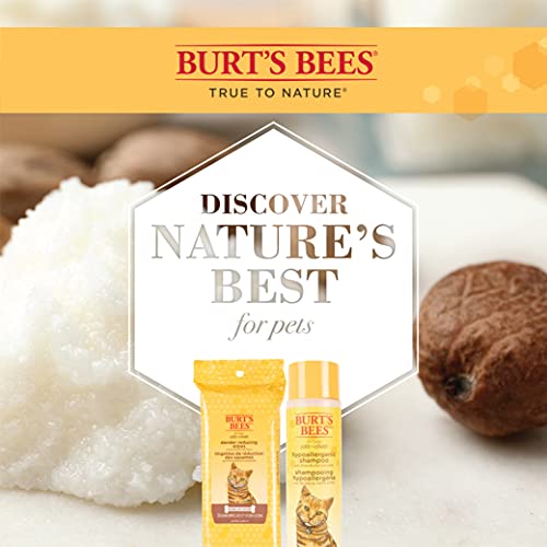 Burt's Bees for Cats Hypoallergenic Shampoo and Dander Reducing