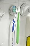 Genexice Suction Toothbrush Holder - White