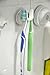 Genexice Suction Toothbrush Holder - White