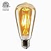 Vintage Edison Led Bulb, Dimmable 4W ST64 Antique Led Bulb Squirrel Cage Filament Light for Decorate Home, E26, 2200K, Clear Glass