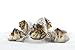 Jennies Organic Coconut Macaroons - 10/.75 oz. (2 Count) - Gluten Free, Kosher, Peanut Free, Dairy Free - Chocolate Drizzle