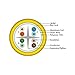 Vertical Cable CAT6A 10G, STP, 23AWG, Solid Bare Copper, PVC, 1000ft, Yellow, Bulk Ethernet Cable
