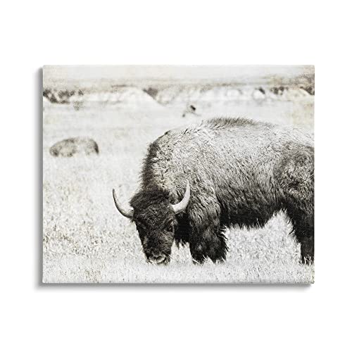 Stupell Industries Farmland Country Bison Bull Grazing Pasture Monochrome, Desi…