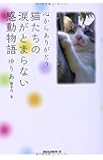 心からありがとう 猫たちの涙がとまらない感動物語