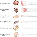 12 Pcs Makeup Brushes HANXUS Professional Foundation Blending Contour Eyeshadow Brow Blush Lip Eye Face Liquid Powder Cream Cosmetics Brushes tool Kit