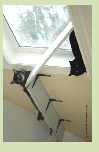 Cats Up and Down 2016 Weekly Calendar: 2016 weekly engagement calendar with a cover photo of a two cats enjoying the view at Ralphie's Retreat - A ... Retreat, calendar, weekly, Christian)