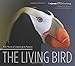 Living Bird: 100 Years of Listening to Nature