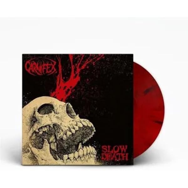 Carnid 限定CD First Cause $_57.PNG?set_id=880000500F