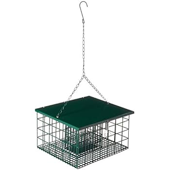 Amazon Com Songbird Essentials Se6000 Squirrel Resistant Suet