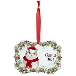 White Calico Exotic Shorthair Cat Christmas