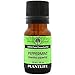 GreenHealth Peppermint Essential Oil (Mentha piperita) - 100% Pure - 10 ml (0.33 fl oz)