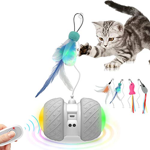 remote control cat toy ball