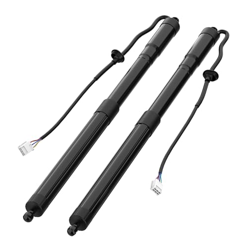 Autoexact Electric Liftgate Struts Fit for 2019-2025 Toyota Rav4, Power Liftgate Actuator, Rear Hatch Lift Support, Trunk Tailgate Struts Shock Replacement# 6892042020 6891042060 (Left & Right, 1Pair)