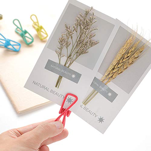 FASOTY Pack of 30 Multipurpose Clothesline Clips Utility Clips Steel Wire Clips Bag Clips Mix Colors - Thumbnail 7