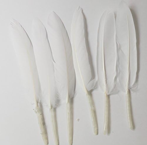 123zero 100 pcs Home Decor Decorating Goose Feathers for Craft and Wedding Decoration (white)