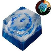TINTON LIFE Delicate Hand Engraved Resin Translucidus Backlit Key Caps for Mechanical Keyboards (Welkin)