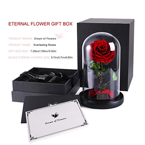 Galaxy Rose Flower Beauty and The Beast Rose Red Rose Infinite Rose
