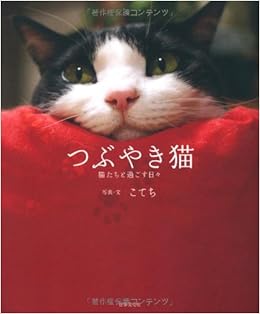 つぶやき猫 猫たちと過ごす日々 こてち 本 通販 Amazon
