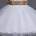 JiaDuo Baby Girl Lace Mesh Tutu Dress Sequin Bow Toddler Princess Gown White 80
