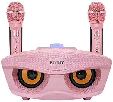 CoolTing Home KTV Amplifier Karaoke Music Player Portable Wireless Bluetooth Speaker Player with One Pair Microphone,Pink