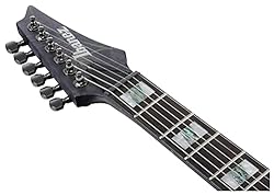 Ibanez RGT1221PBDTF RG Series Premium 6-String Elec