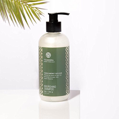 Teadora Sulfate-Free Shampoo, Vegan, Argan Cupuacu Acai Buriti, Gentle, Best for Damaged, Frizzy, Color and Keratin Treated Hair, Moisturizing Shampoo, All Hair Types