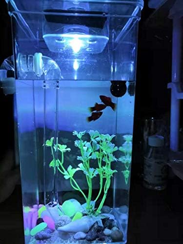 Tarrnow Self-Cleaning Aquarium Tank Fish Tank