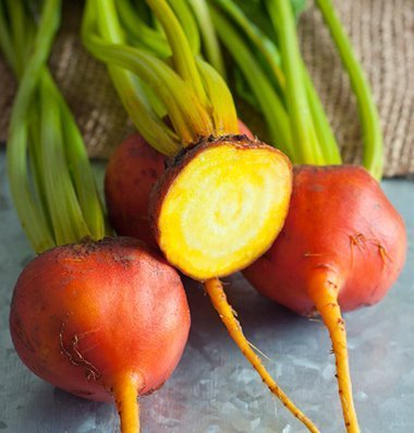 David's Garden Seeds Beet Boldor D3121 (Yellow) 200 Open Pollinated Seeds David's Garden Seeds Beet Boldor D3121 (Yellow) 200 Open Pollinated Seeds