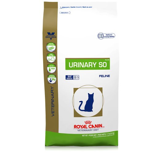 feline urinary royal canin