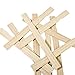 Woodman Crafts Paint Sticks - Premium Grade 12