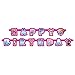 Girl Paw Patrol Party Supplies and Decorations Pack for 16 With Plates, Napkins, Tablecover, Cups, 6 Balloons, Birthday Banner, and Exclusive Paw Birthday Pin By Another Dream