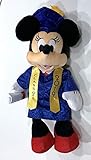 Disney Parks Minnie Mouse 2019 Graduation Graduate Plush Doll