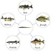 Yoshikawa Wiggle Worm Bass Lure Soft Plastic Fishing Lure Smallmouth Bass Perch Bait 3