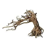 Bonsai Driftwood Aquarium Tree TT3 Random Pick