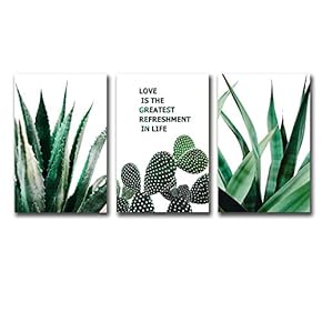 SIGNFORD 3 Panel Canvas Wall Art Aloe Vera...