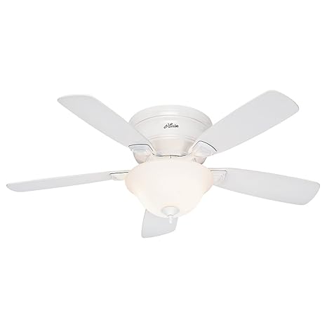 Hunter Fan 52062 Low Profile Plus Ceiling Fan With Five Oak Blades