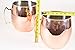 BonBon Jumbo 192 Oz. Moscow Mule Copper Drinking Mug …