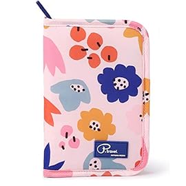 Cartera para pasaporte y billetes de avion Cartera para pasaporte y billetes de avion