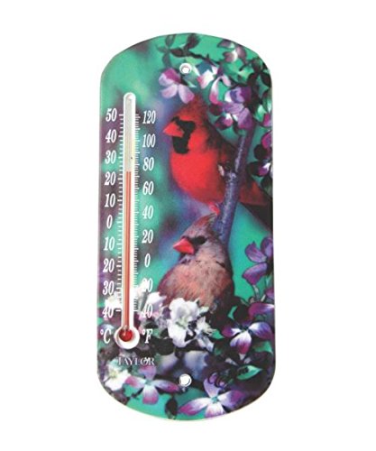 Cardinal Window Thermometer