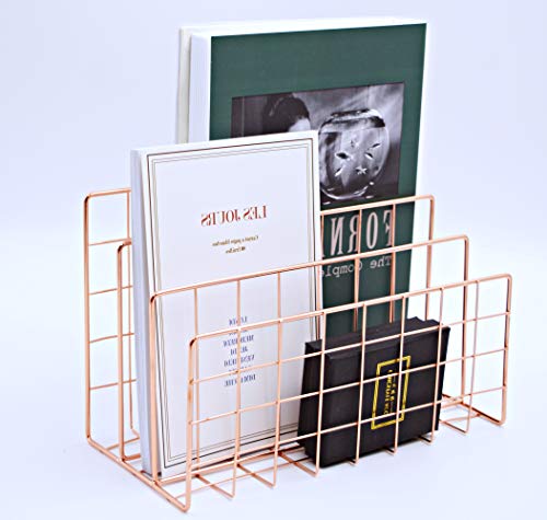 Desktop Letter File Sorter,Mail Oragnizer,Magazine Holder Organizer Rack for Home Office Mails Books Files Brochures Postcards Makeups and More, 3 Slot