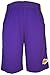 Los Angeles Lakers NBA Youth Jersey Shorts - Purple S