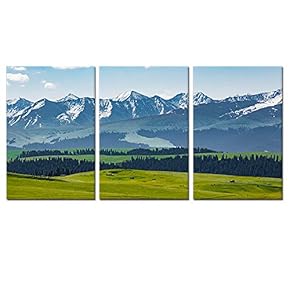 SIGNFORD 3 Panel Canvas Wall Art Snow Mountain...
