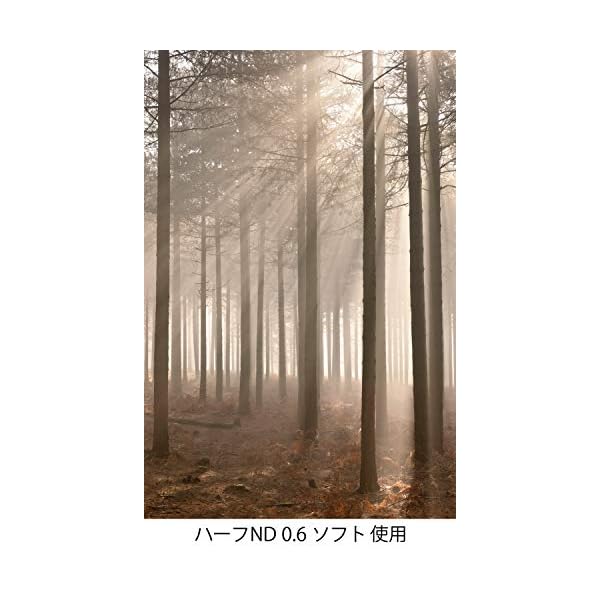 Lee Filters ND6GS100x150U2 Neutral Density Soft Edge, Grad 0,6 ND – Bild 5