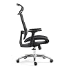 BILKOH Ergonomic Office Chair, High Back Desk Chair with Mesh Seat – Adjustable Lumbar Support Breathable Mesh Chair…