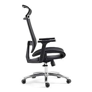 BILKOH Ergonomic Office Chair, High Back Desk Chair with Mesh Seat – Adjustable Lumbar Support Breathable Mesh Chair…